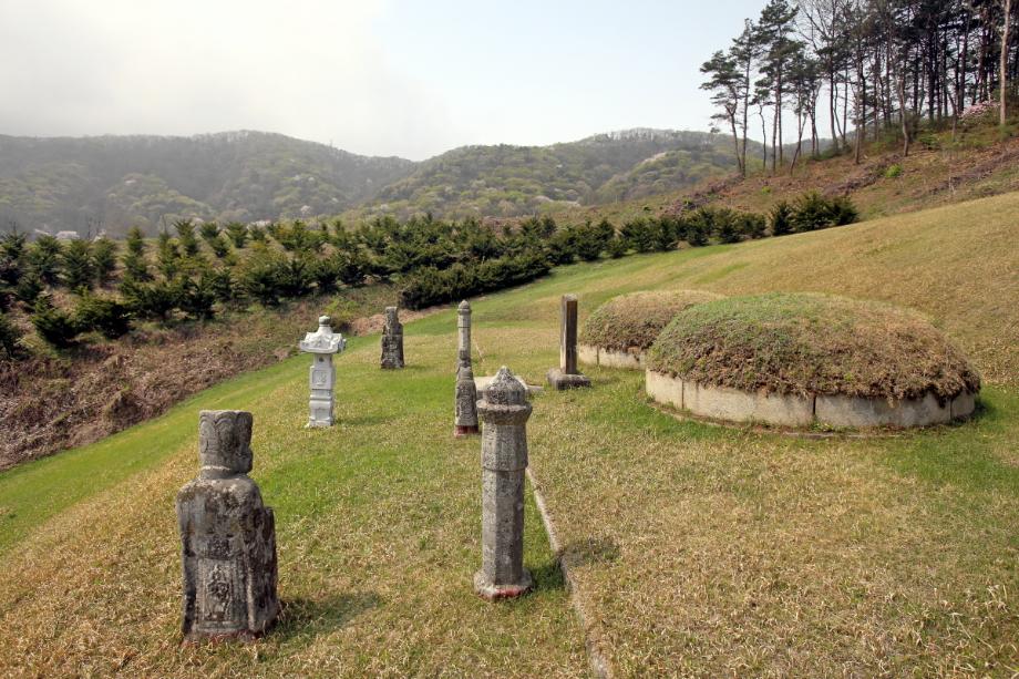 진천 홍우경·정인옹주 묘소