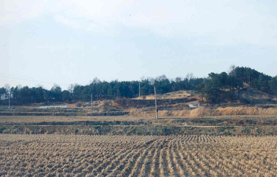 진천 대모산성이미지