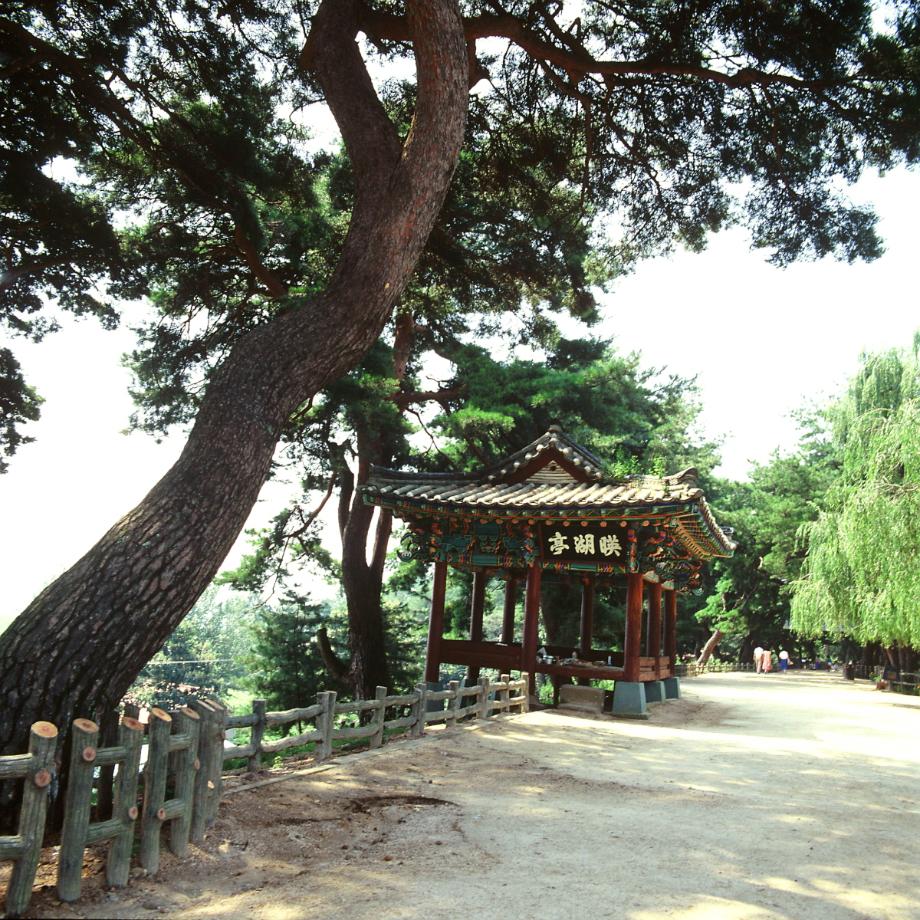 제천 의림지와 제림이미지