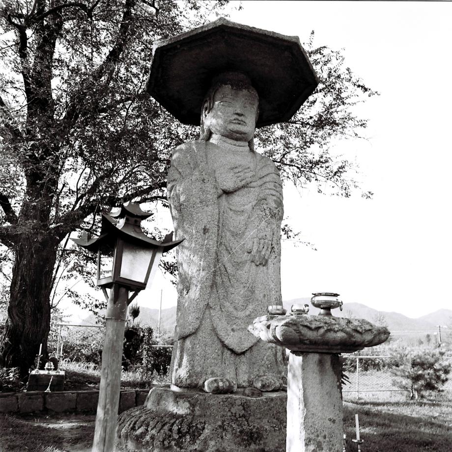 충주 원평리 석조여래입상이미지