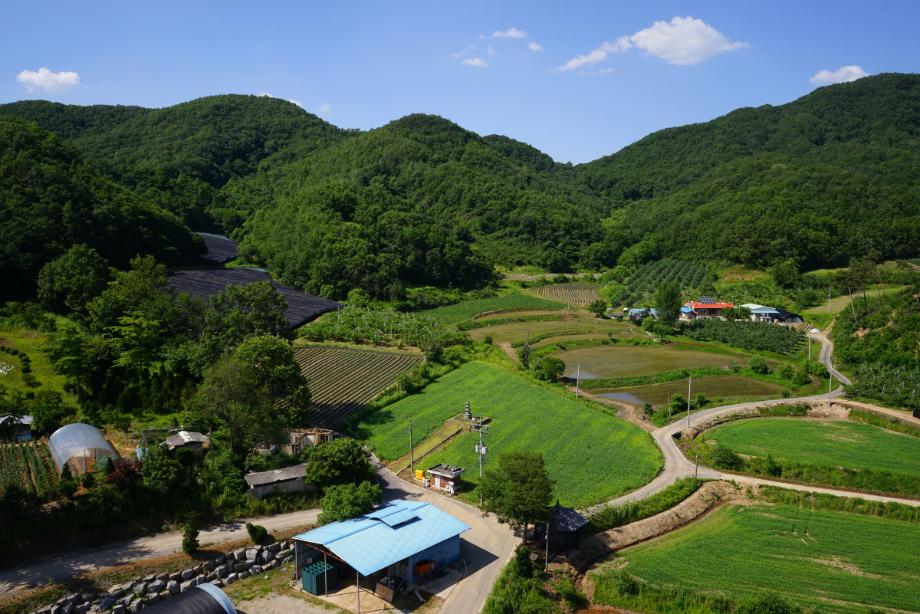 허용기준 연구