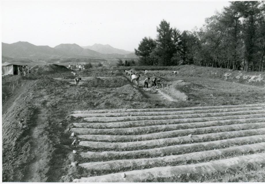 충주 견학리 토성이미지