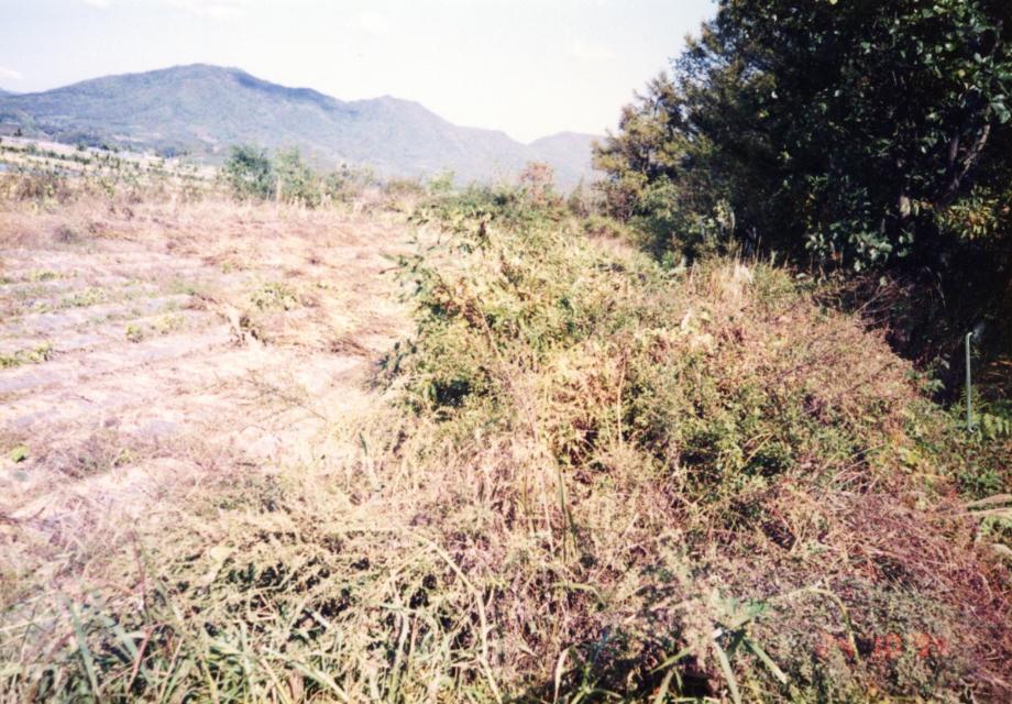 충주 견학리 토성이미지