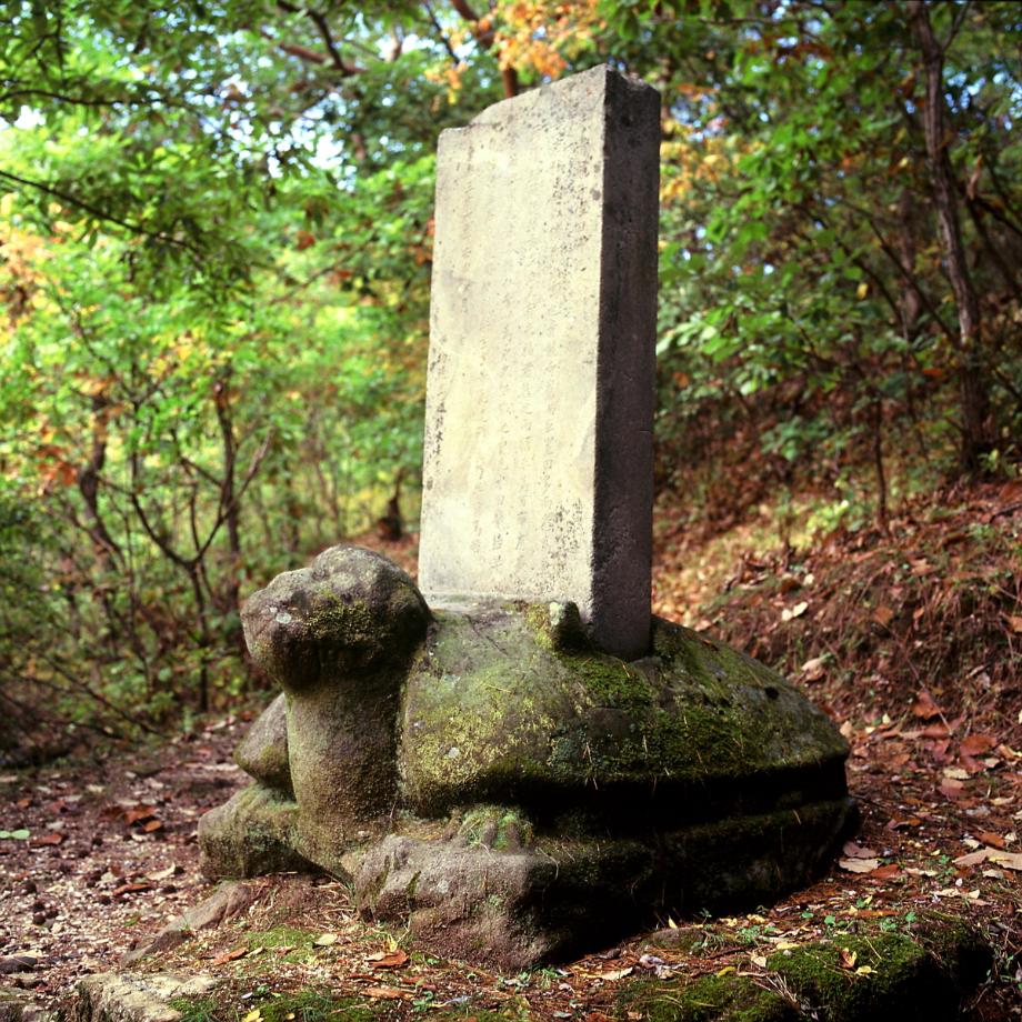 충주 청룡사 위전비이미지