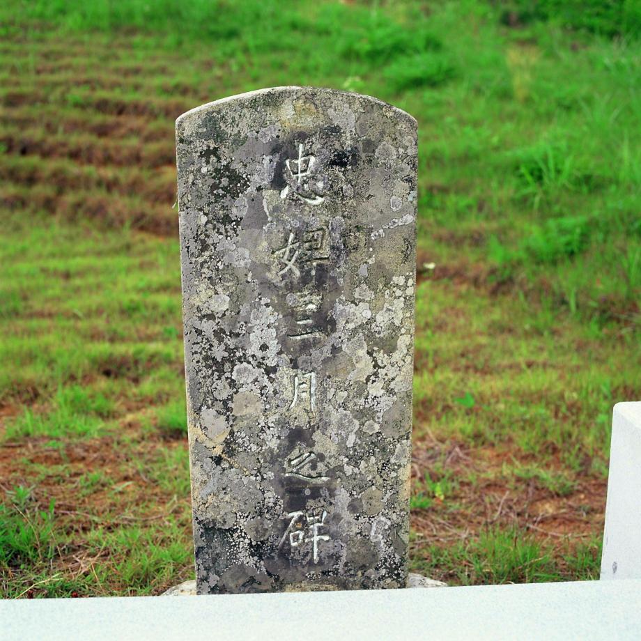 청주 삼월비이미지