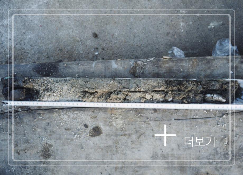 제천 의림지와 제림이미지