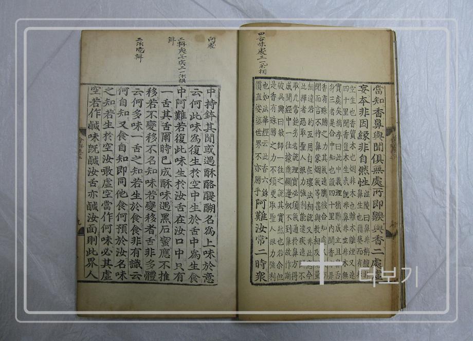 대불정여래밀인수증요의제보살만행수능엄경이미지