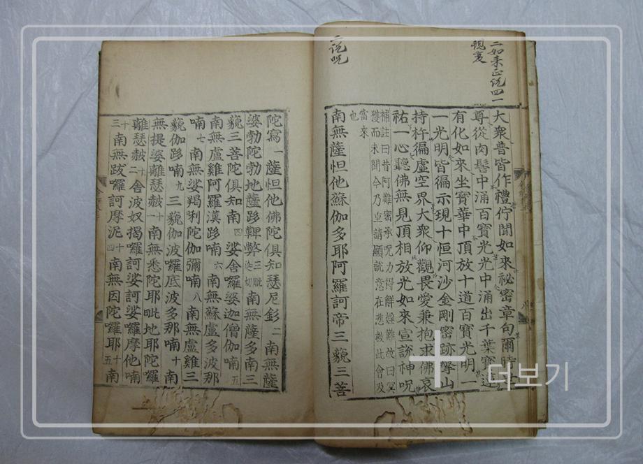 대불정여래밀인수증요의제보살만행수능엄경이미지