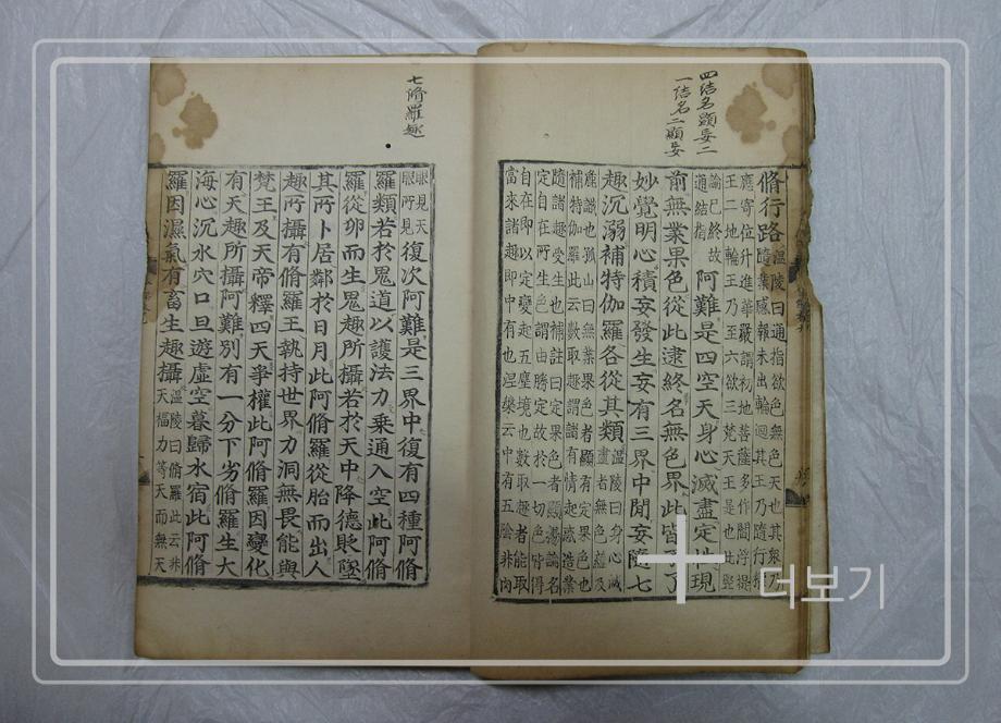 대불정여래밀인수증요의제보살만행수능엄경이미지