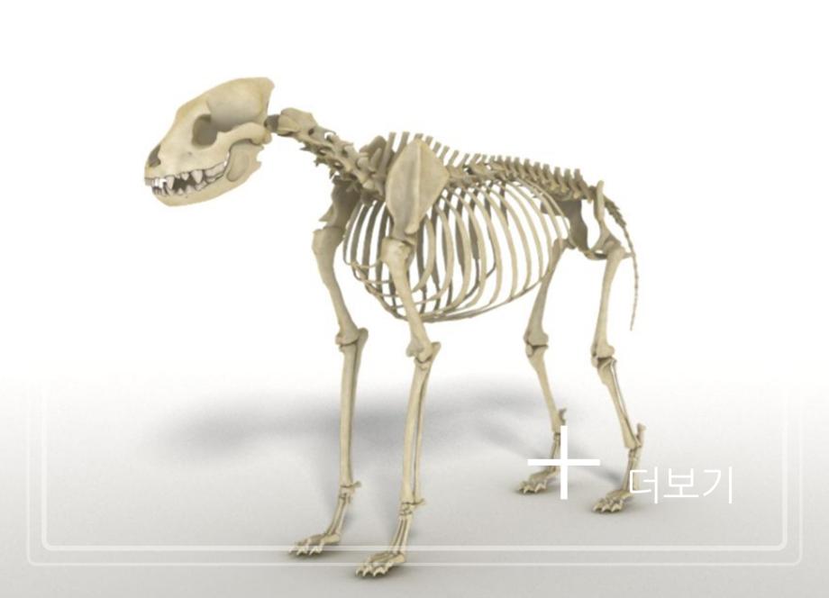 제천 점말동굴 유적이미지