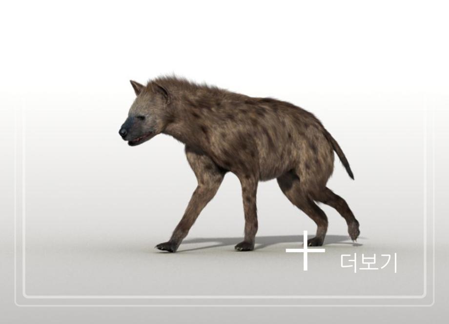 제천 점말동굴 유적이미지
