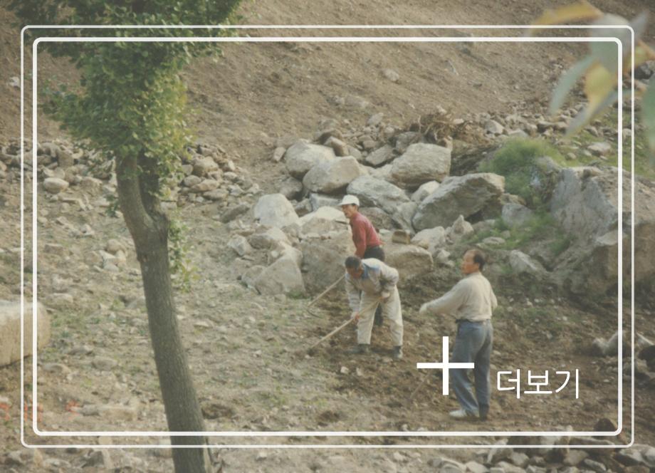 충주 미륵대원지이미지