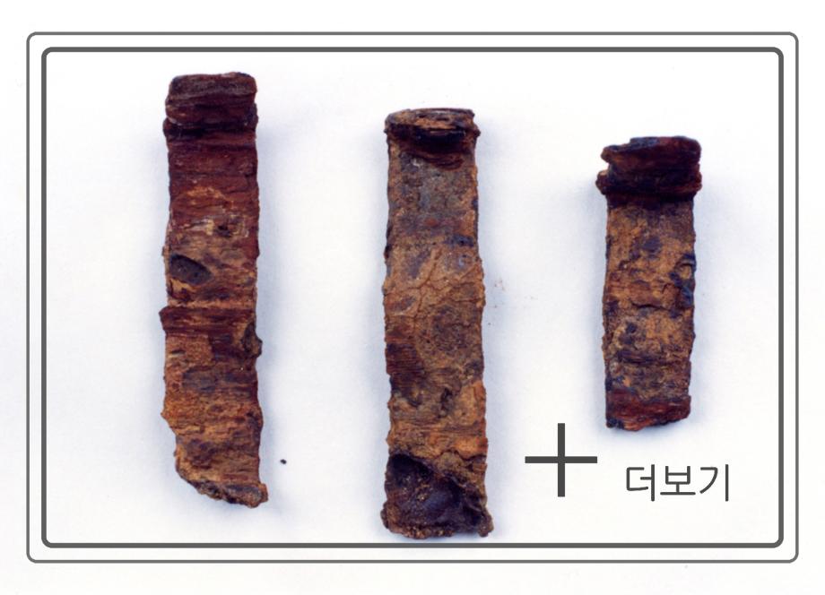 청주 신봉동 고분군이미지