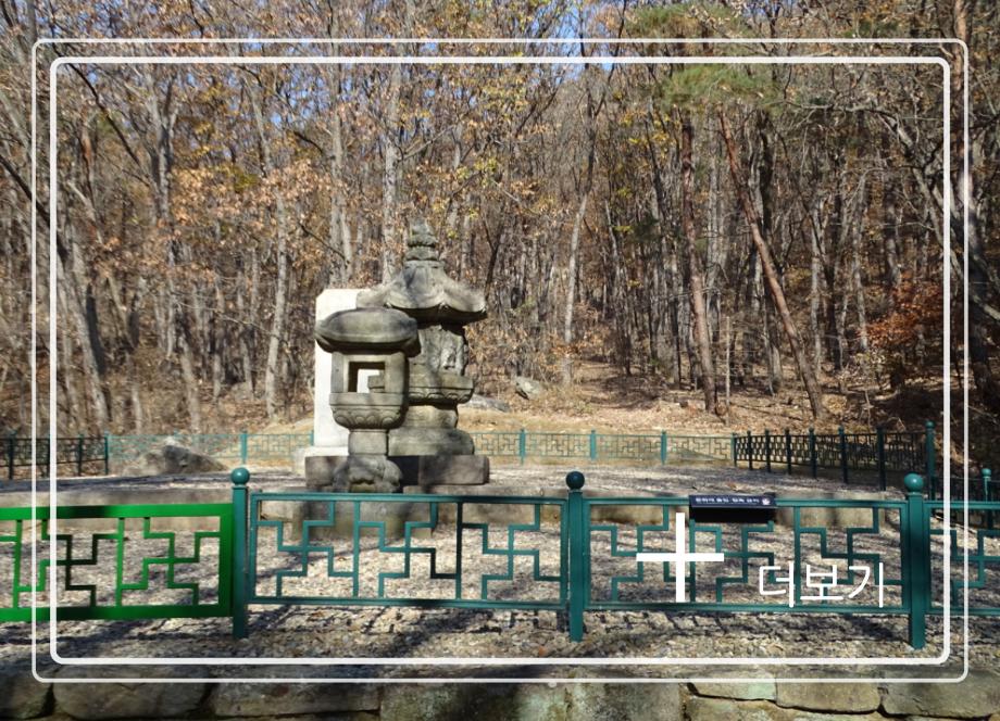 충주 청룡사지 보각국사탑이미지