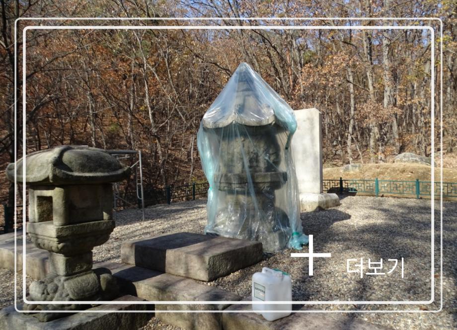 충주 청룡사지 보각국사탑이미지
