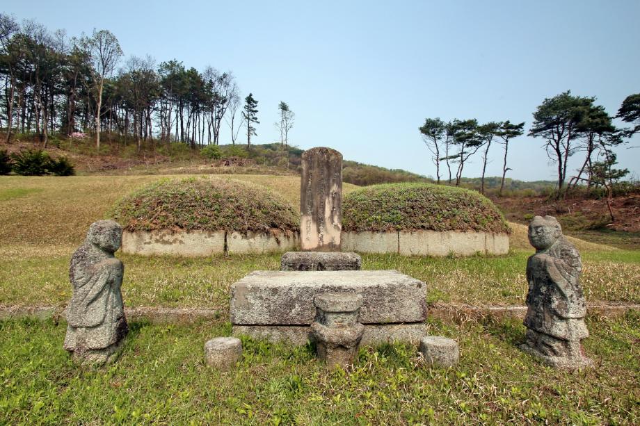 진천 홍우경·정인옹주 묘소