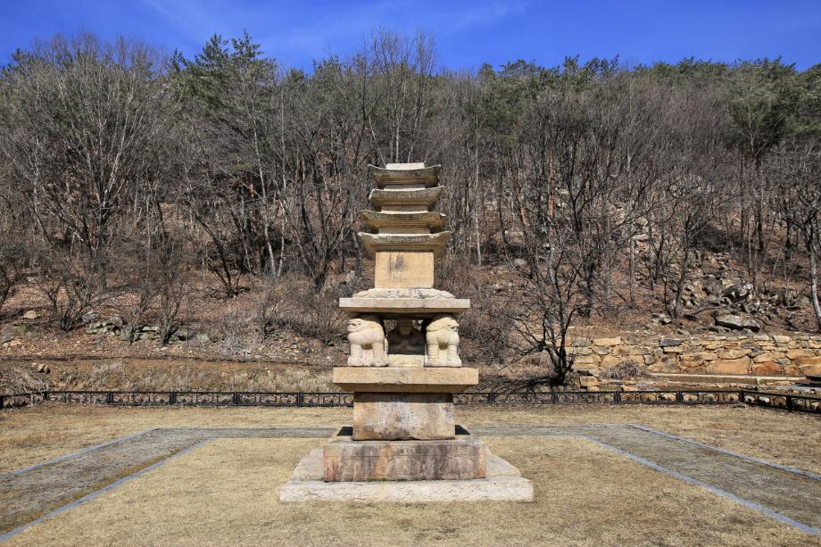 제천 사자빈신사지 사사자 구층석탑