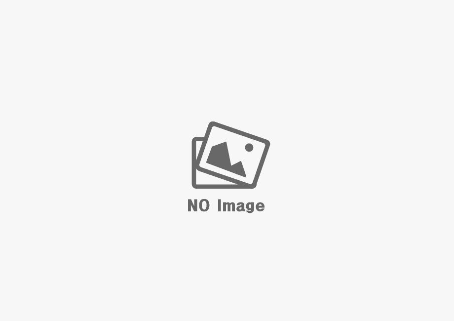 홍길동 샘플