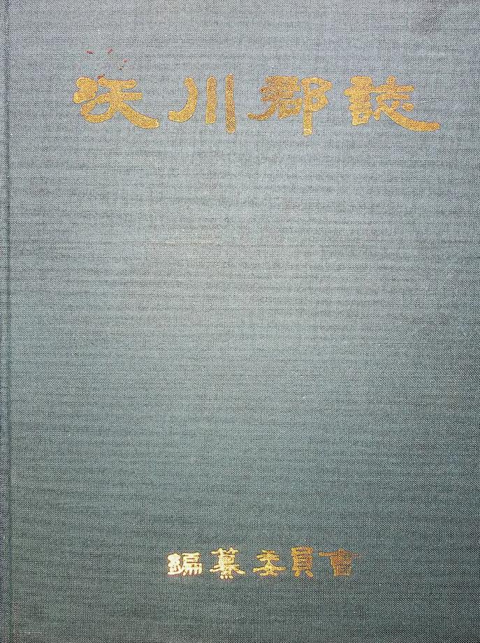 옥천군지2