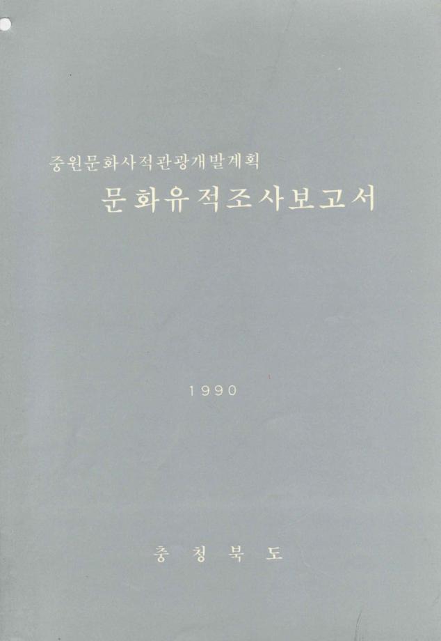 중원문화사적관광개발계획 문화유적조사보고서