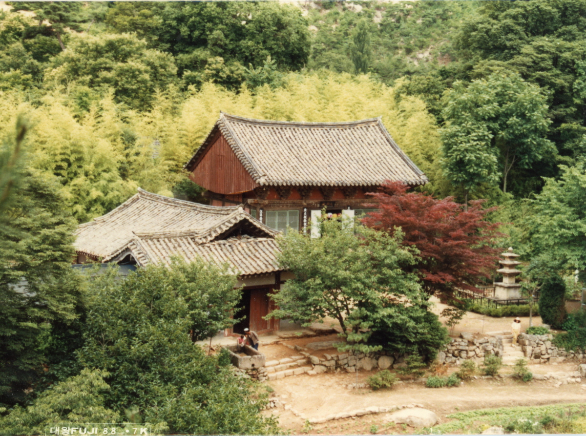 1981년 영국사