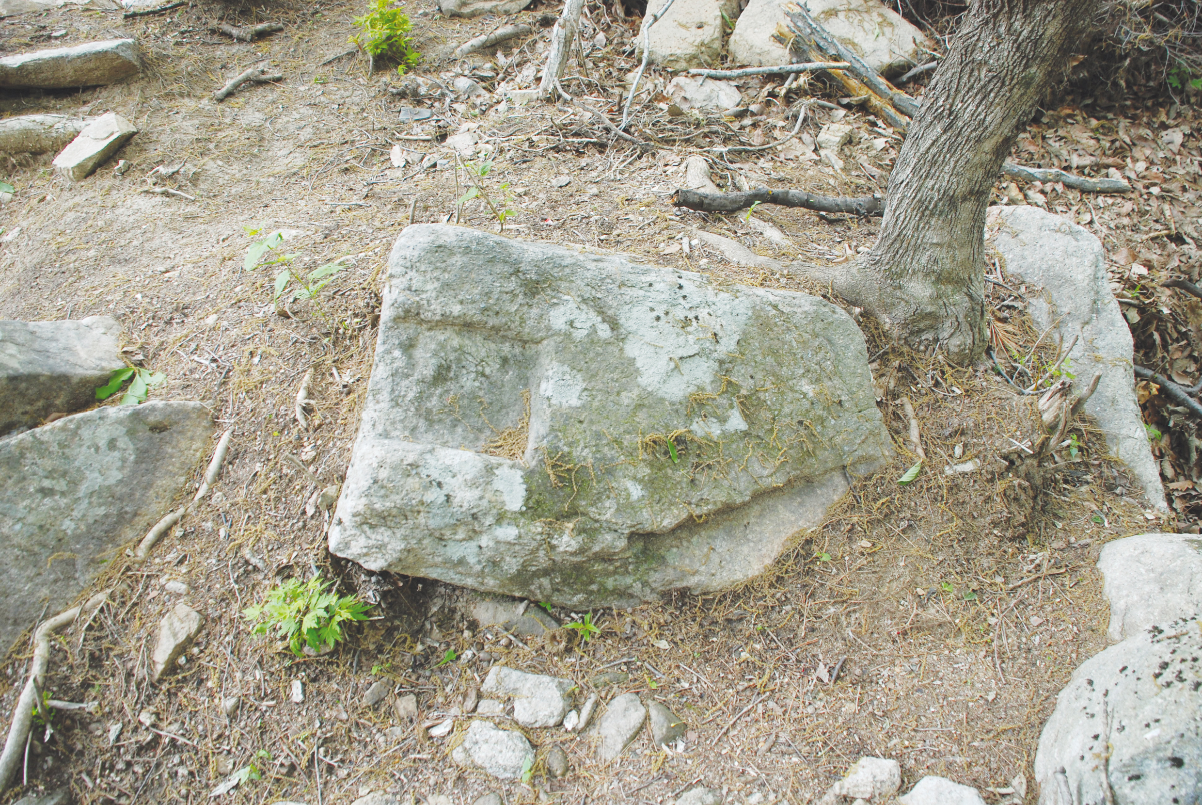 서문추정지 주변 초석3