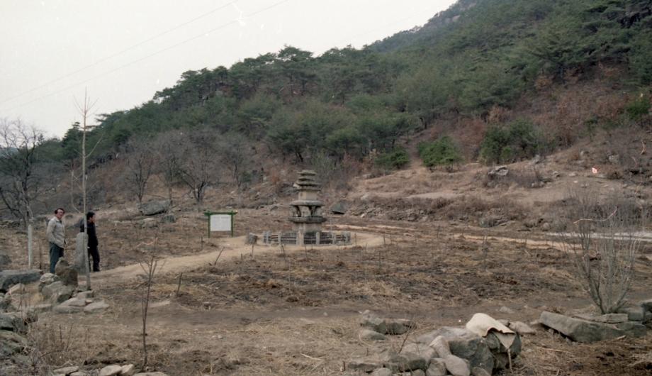 제천 사자빈신사지 사사자 구층석탑이미지
