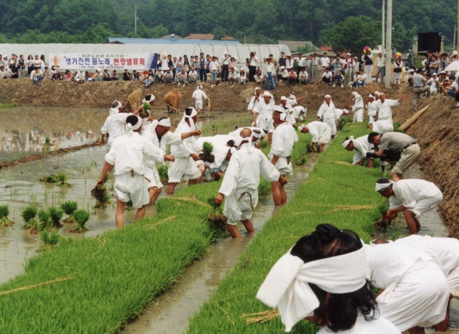 진천 용몽리 농요이미지