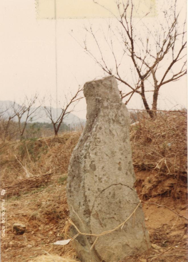 옥천 석탄리 선돌이미지
