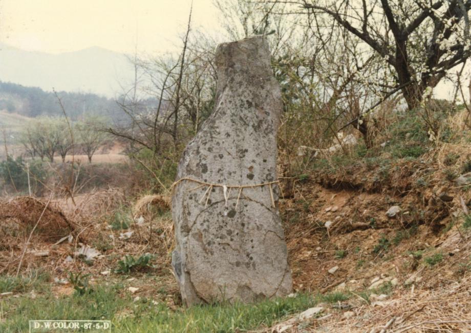옥천 석탄리 선돌이미지