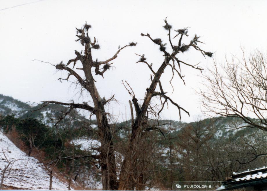 충북 문화재 사진