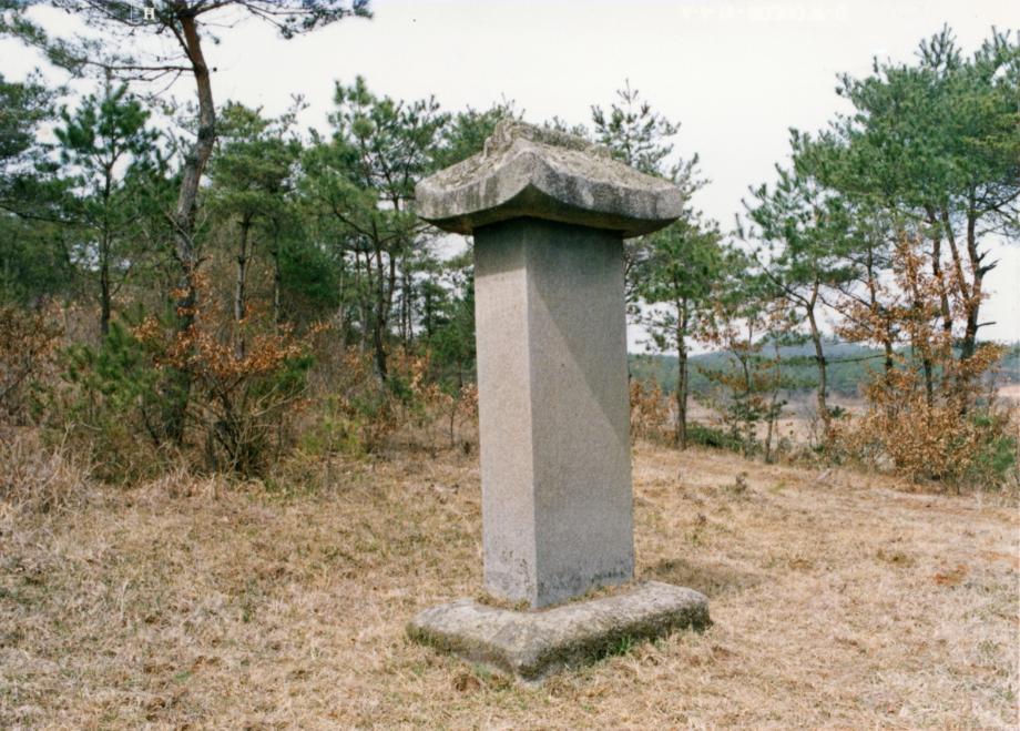 진천 남지 묘소 및 신도비