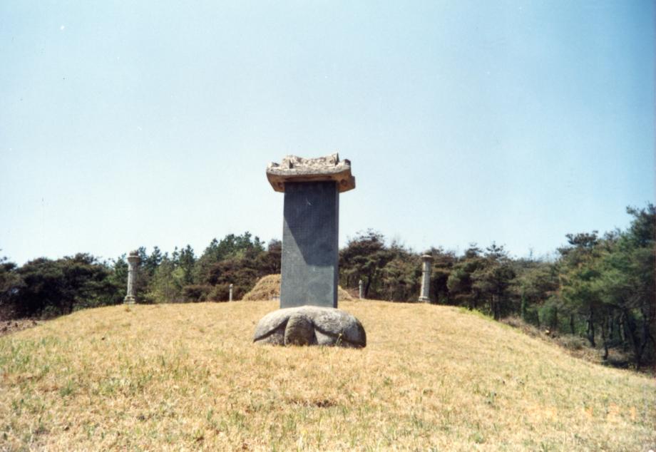 진천 이정 묘소이미지