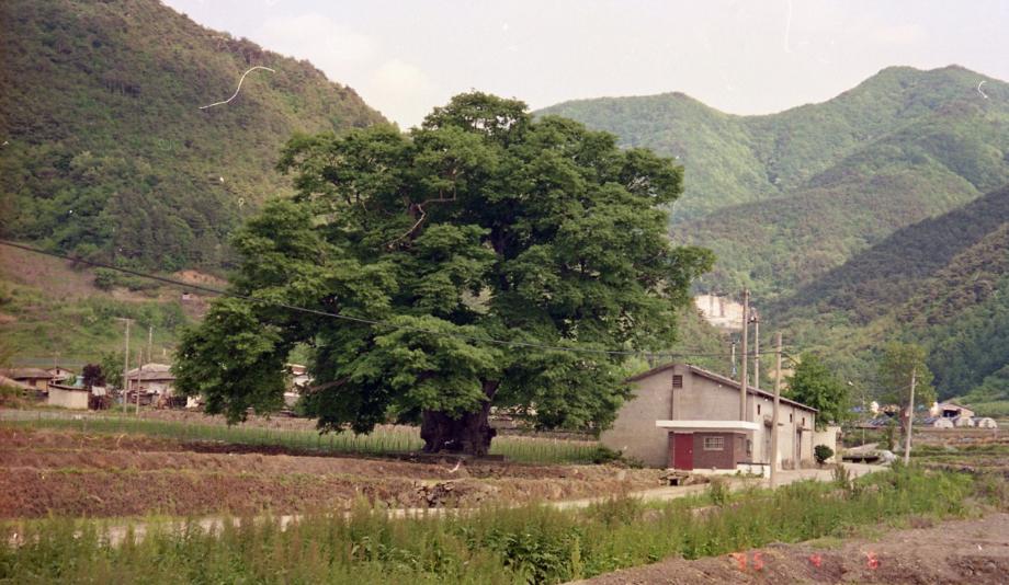 충북 문화재 사진