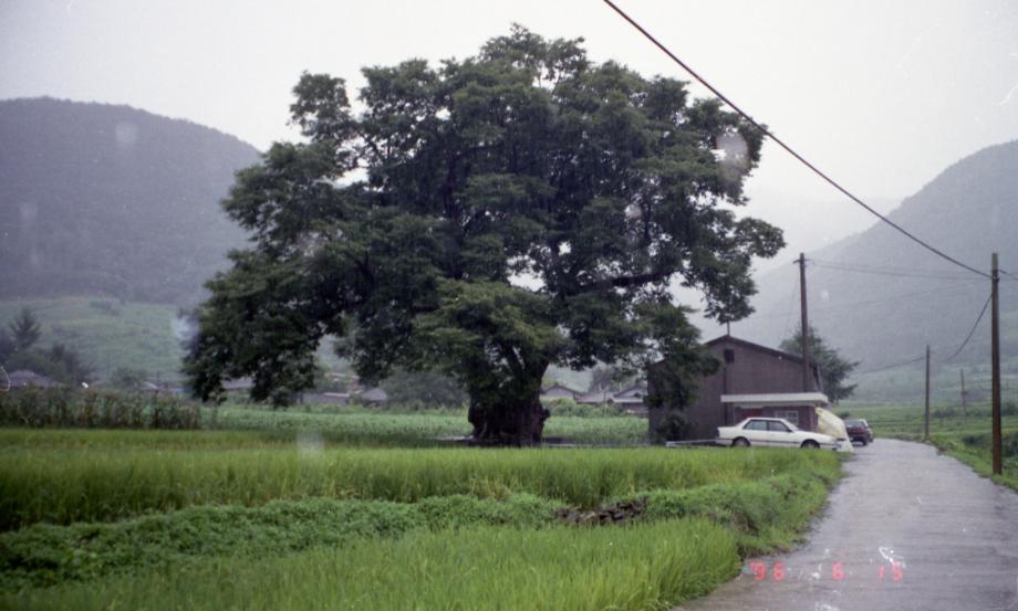 충북 문화재 사진