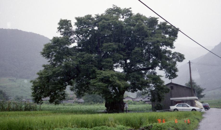 충북 문화재 사진