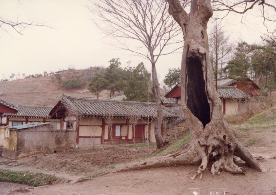 괴산향교이미지