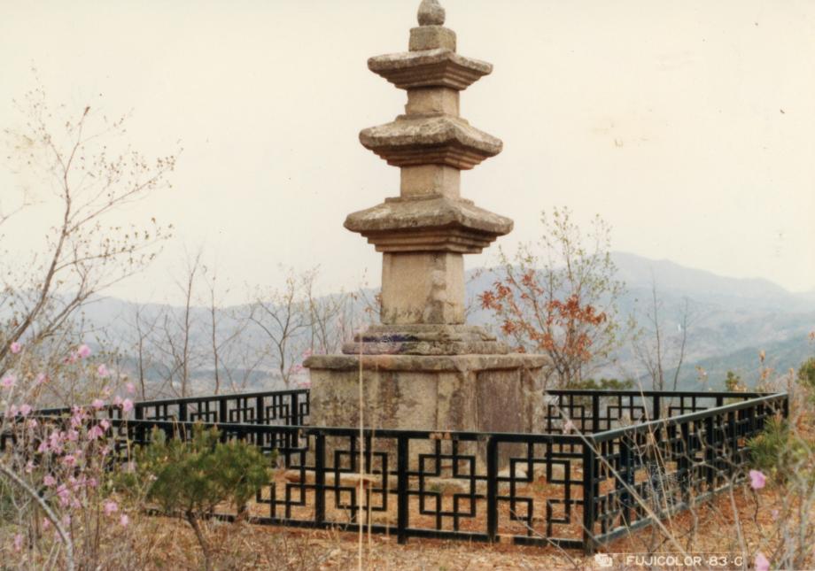 보은 원정리 삼층석탑이미지