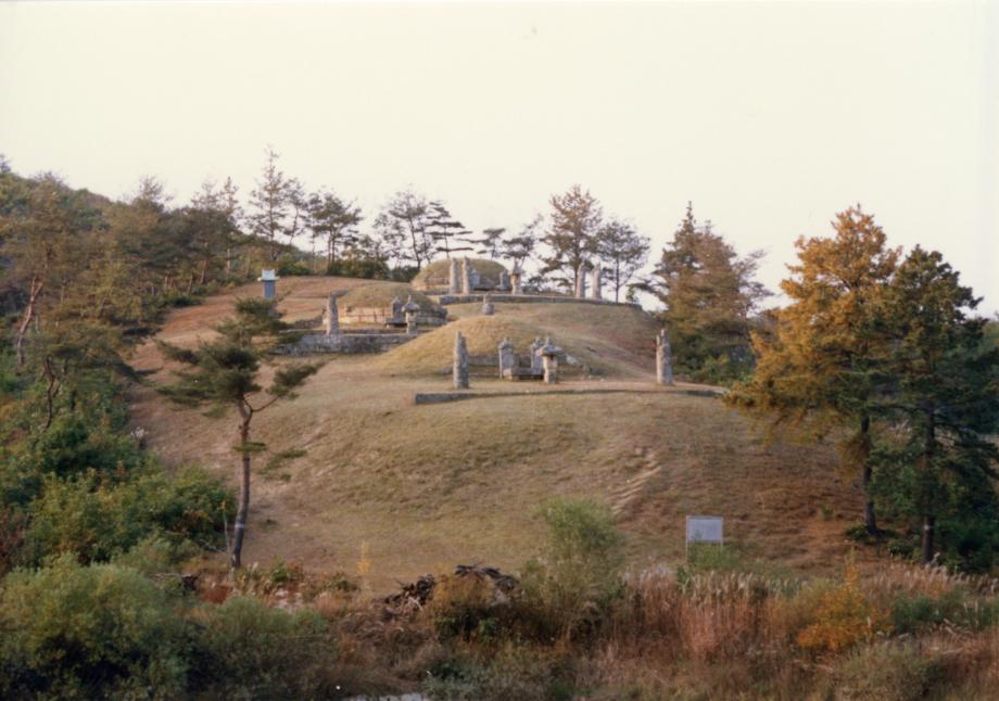 음성 권근 삼대 묘소 및 신도비이미지