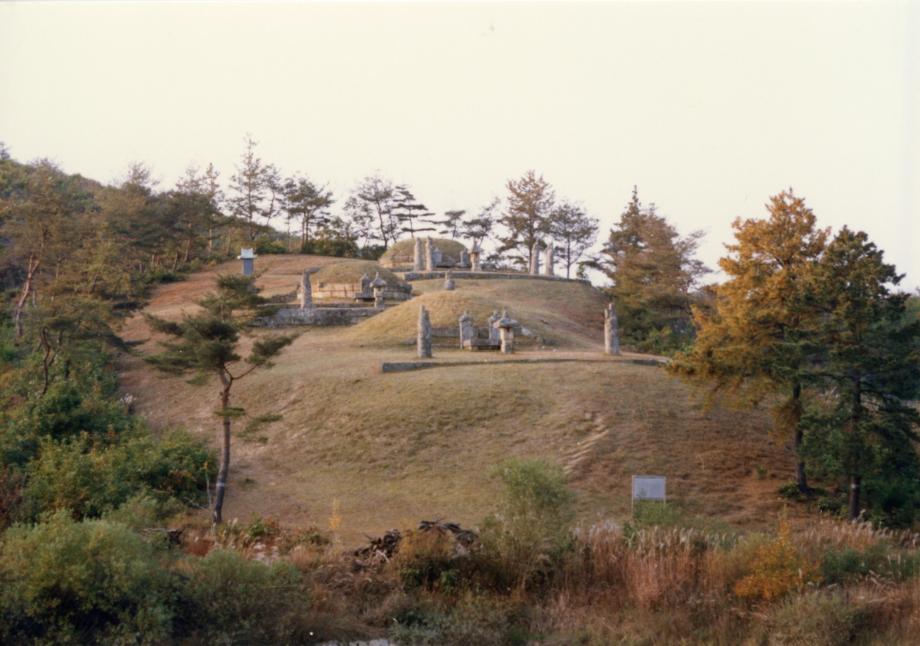 충북 문화재 사진