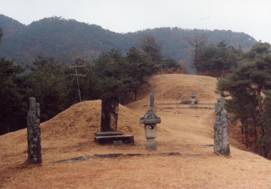 괴산 정인지 묘소이미지
