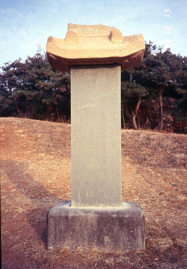 진천 송인 묘소이미지