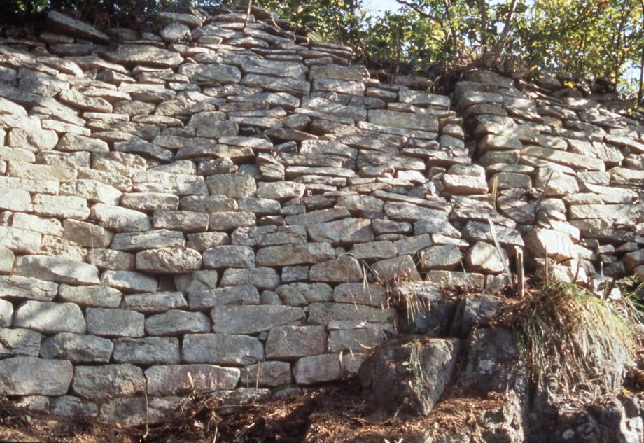 충주 대림산성이미지