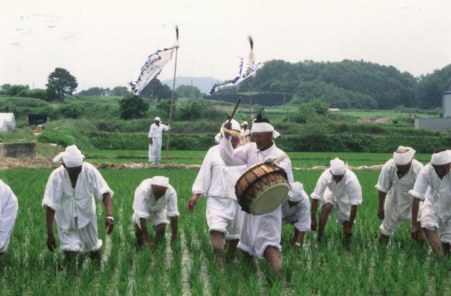 진천 용몽리 농요이미지