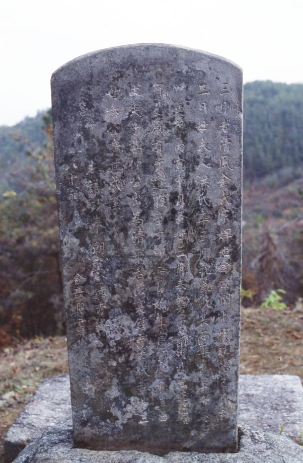 청주 삼월비이미지