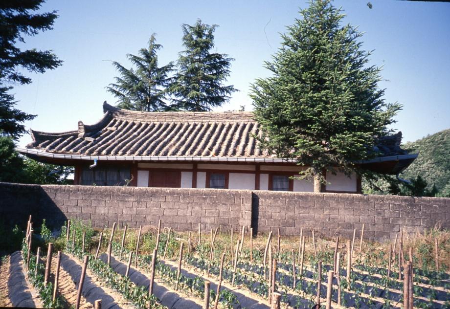 영동 모의당이미지