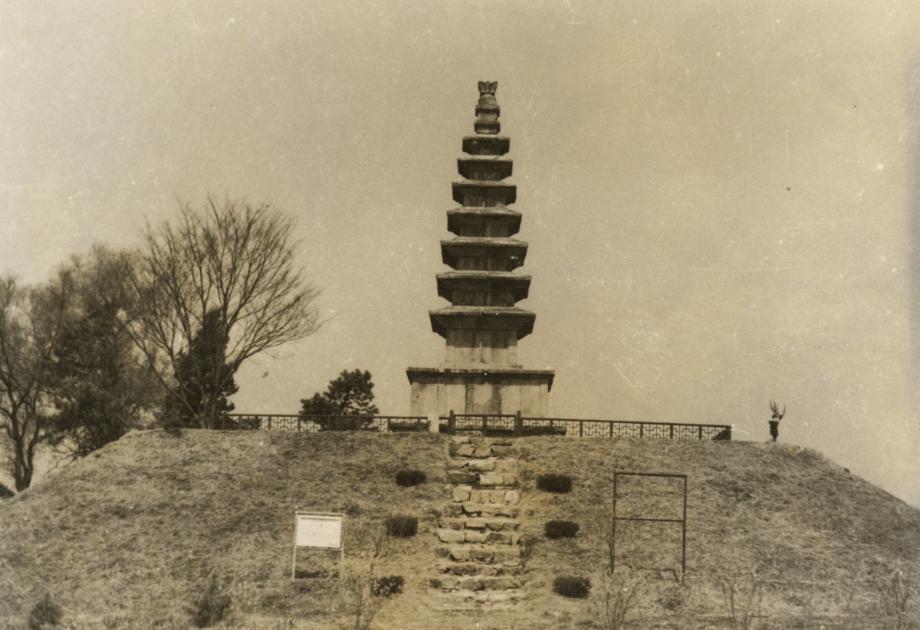 충주 탑평리 칠층석탑이미지