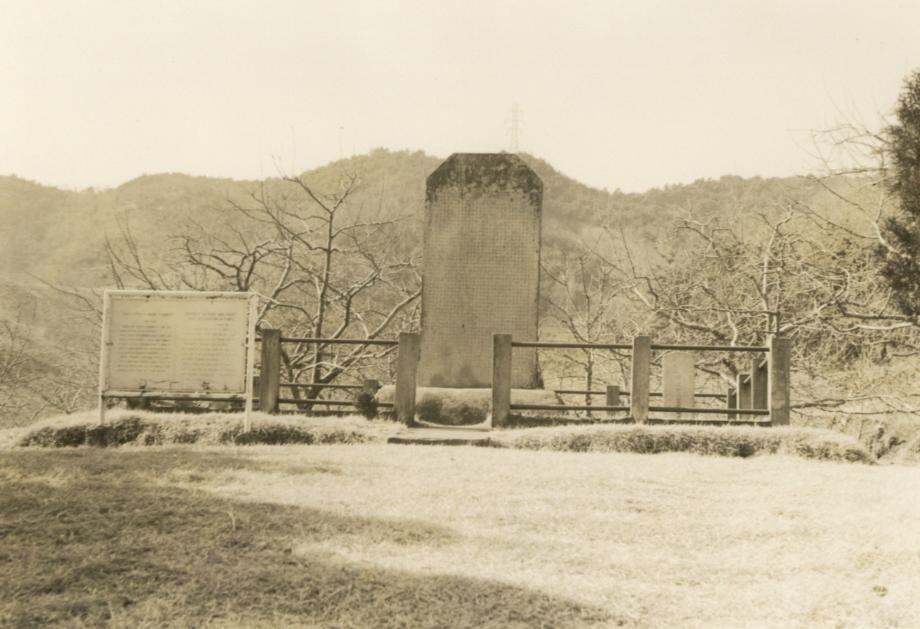 충주 억정사지 대지국사탑비이미지