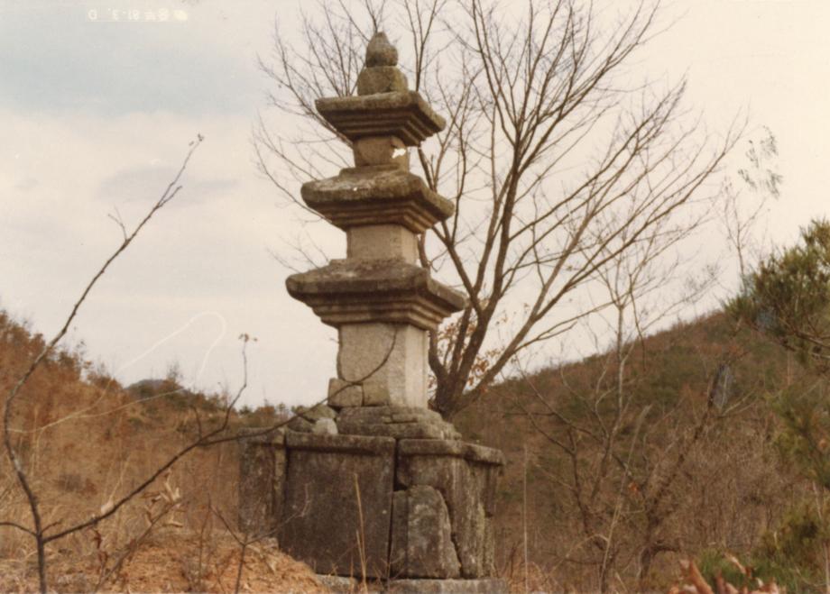 보은 원정리 삼층석탑이미지