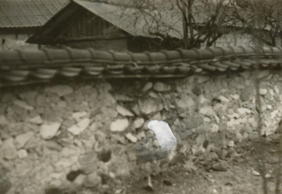 충주 박팽년 사당이미지